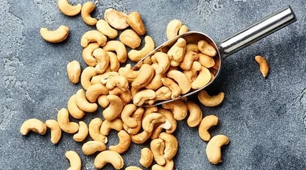 تصویر 1 از خرید و قیمت بادام هندی خام + فروش صادراتی